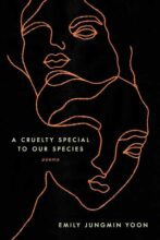 book cover art