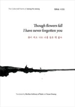 book cover art