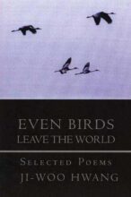book cover art