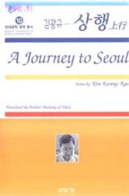 book cover art