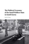 The Political Economy of the Small Welfare State