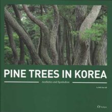 book cover art