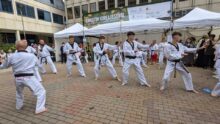 The Livingwell Taekwondo demonstration team
