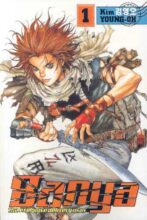 book cover art