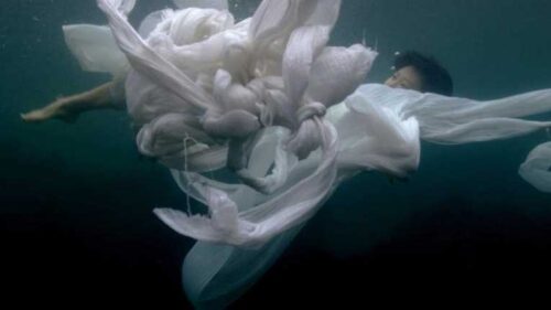 A woman holding swirls of white fabric swims under water