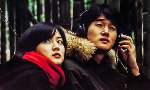 A man and a woman sit togather in a bamboo forest