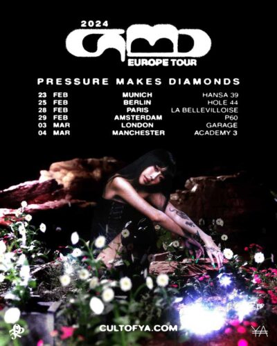 Camo Pressure Makes Diamonds tour poster