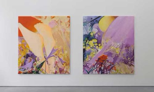 Jin Han Lee Keen Feet installation view