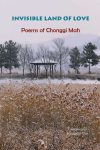 Book cover: Invisible Land of Love