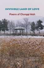 book cover art