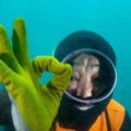Thumbnail for post: Haenyeo Voices: Merging Tradition and Science to Monitor Reef Changes