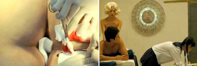 Stills from Searching for the Elephant