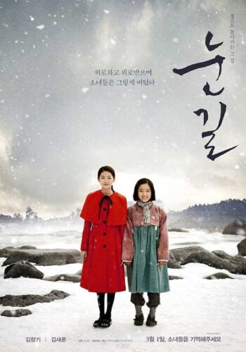 Snowy Road: poster