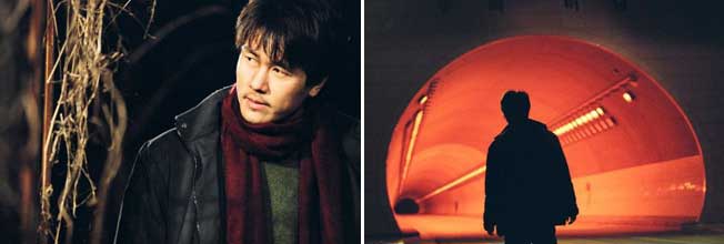 Stills from Spider Forest