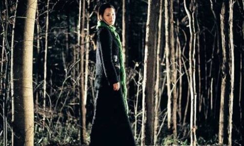 Still from Spider Forest