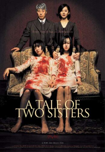 Tale of Two Sisters: poster