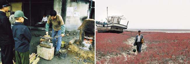 Stills from The Road