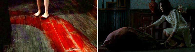 Stills from Tale of Two Sisters