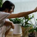 Thumbnail for post: The Vegetarian (채식주의자, 2010) review: a dark, haunting exploration of desire, mental illness and art