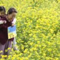 Thumbnail for post: Canola (계춘 할망, 2016) review: grandmother’s love and lost innocence