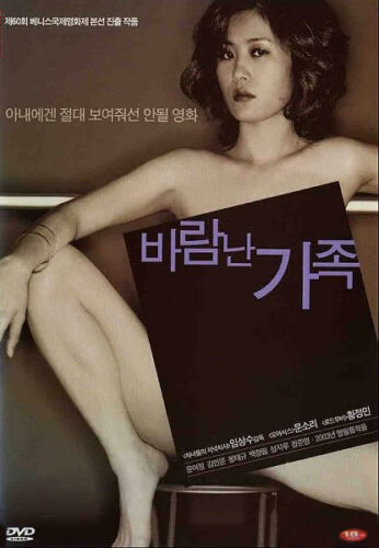 A Good Lawyer's Wife: DVD cover