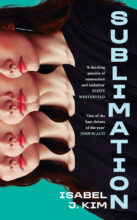 Cover artwork for book: Sublimation