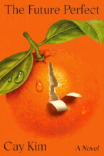 Cover artwork for book: The Future Perfect